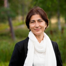 Mina Sedem